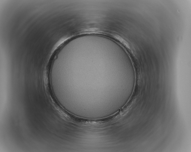 X0000113051458200909171531