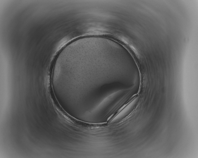 X0000113051459200909171531