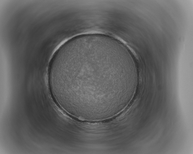 X0000113051460200909171531