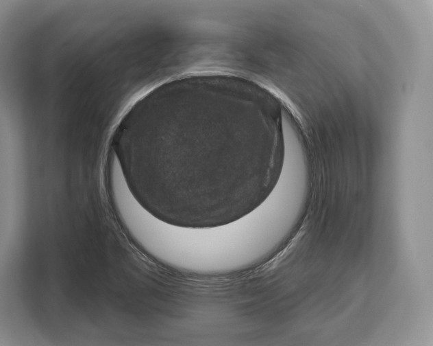 X0000113051461200909171531