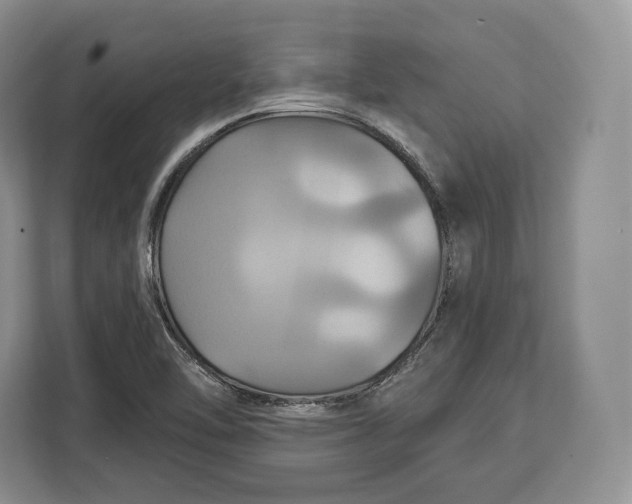 X0000113051462200909171531