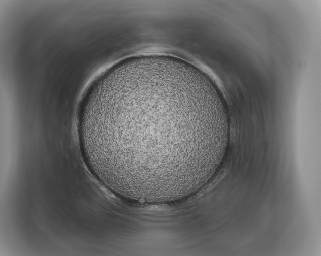 X0000113051464200909171531