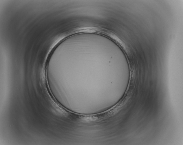 X0000113051466200909171531