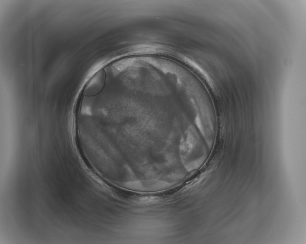 X0000113051467200909171531