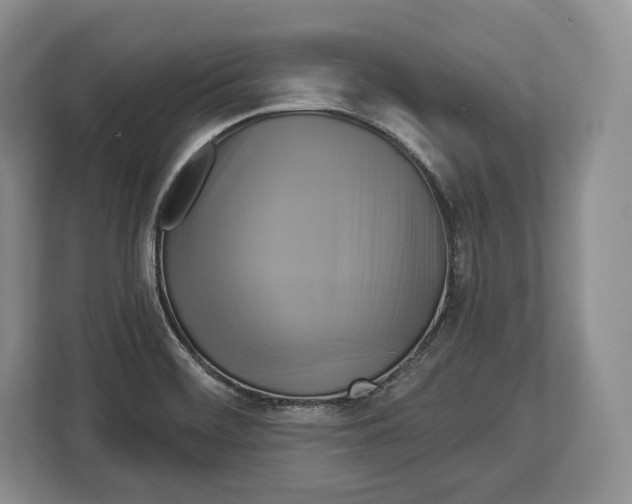 X0000113051468200909171531