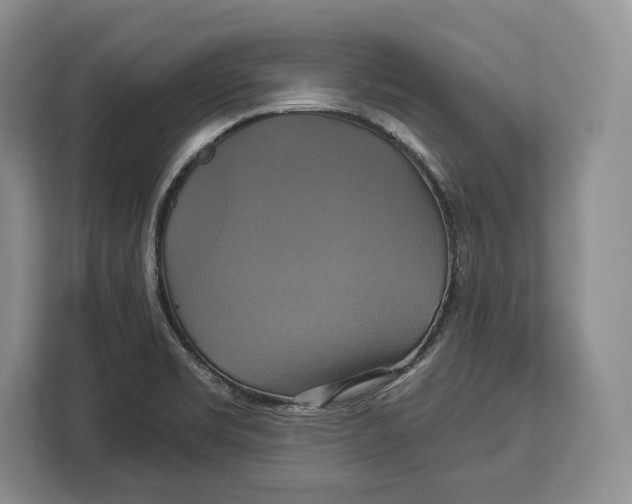 X0000113051469200909171531