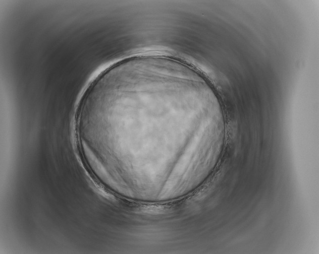 X0000113051470200909171531