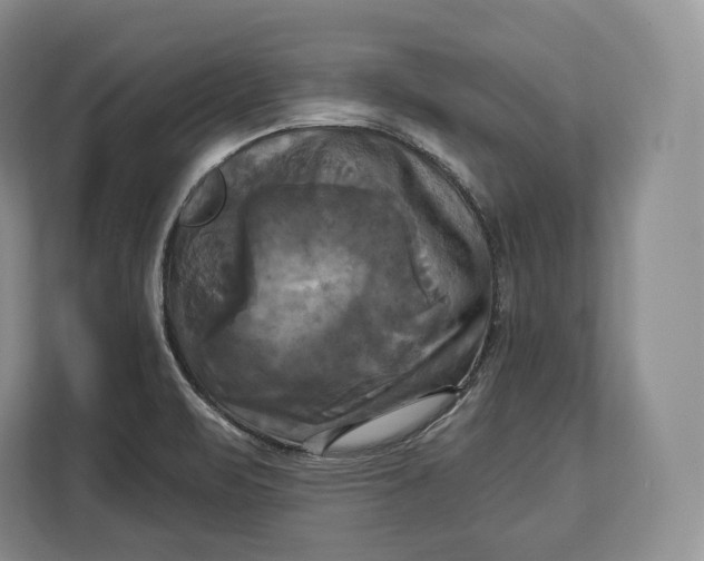 X0000113051471200909171531