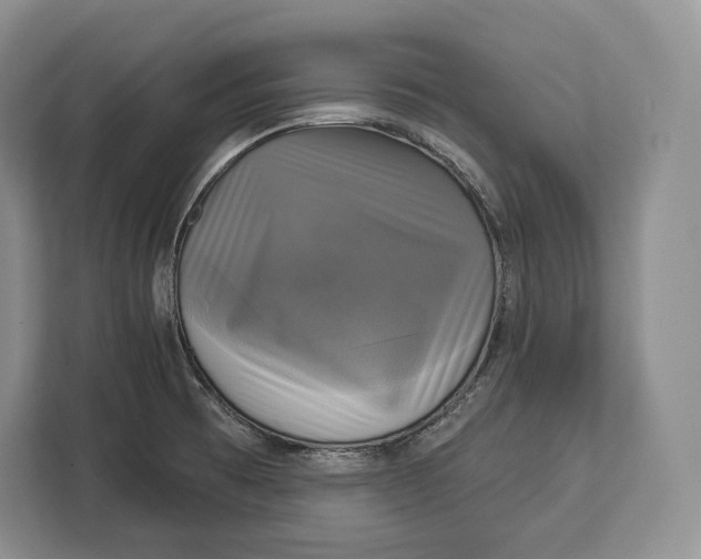 X0000113051473200909171531