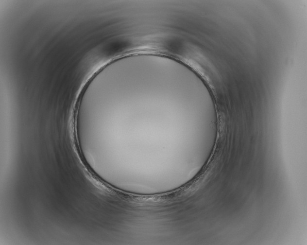 X0000113051474200909171531