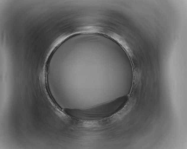 X0000113051477200909171531