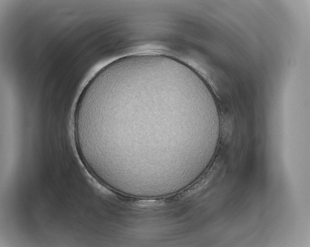 X0000113051478200909171531