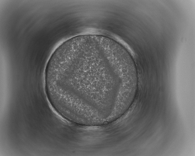 X0000113051479200909171531