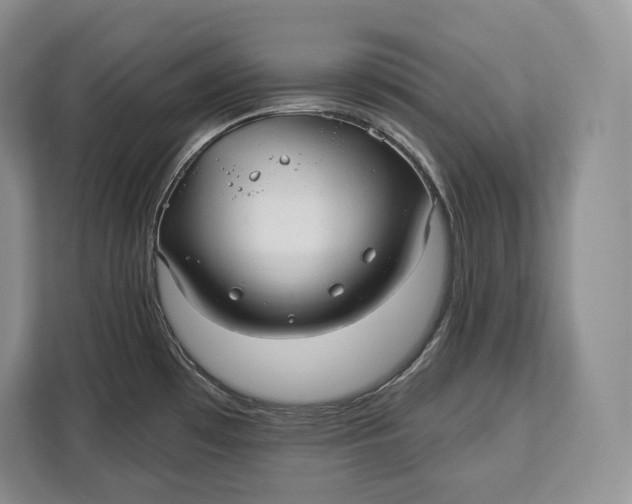 X0000113051481200909171531