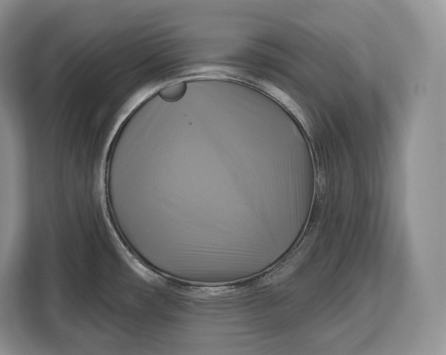 X0000113051482200909171531