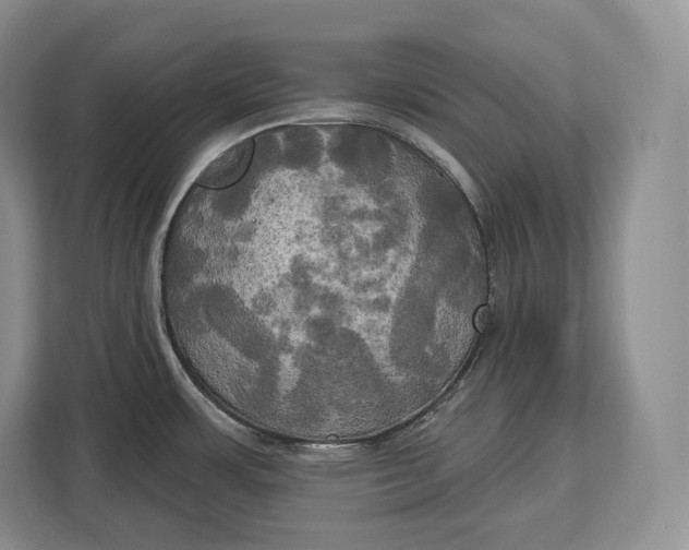 X0000113051483200909171531