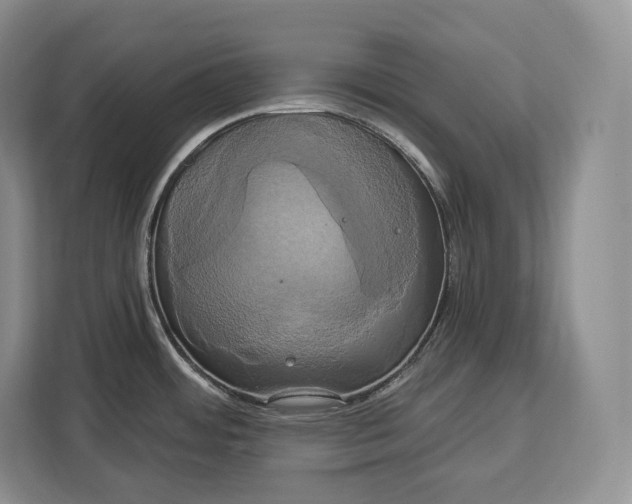 X0000113051484200909171531