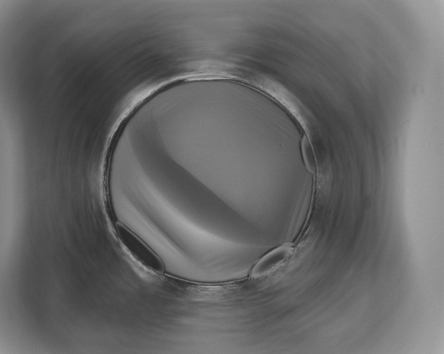 X0000113051485200909171531