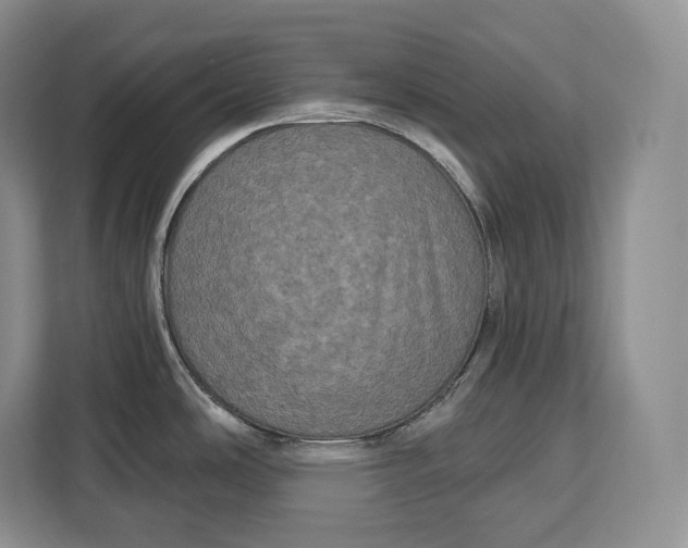 X0000113051486200909171531