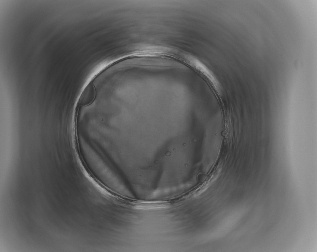 X0000113051487200909171531