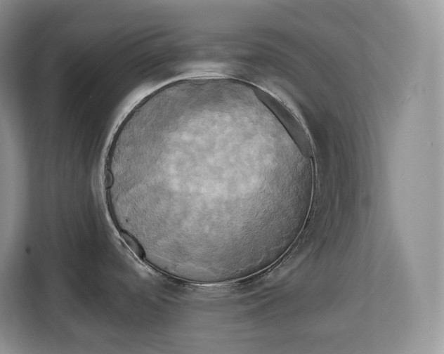 X0000113051488200909171531