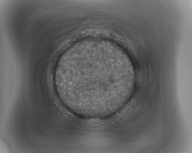 X0000113051489200909171530