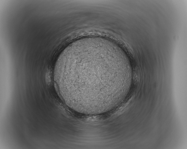 X0000113051490200909171530