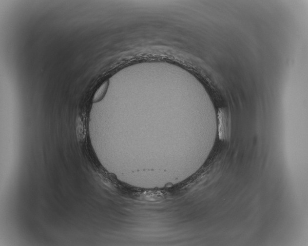 X0000113051491200909171530