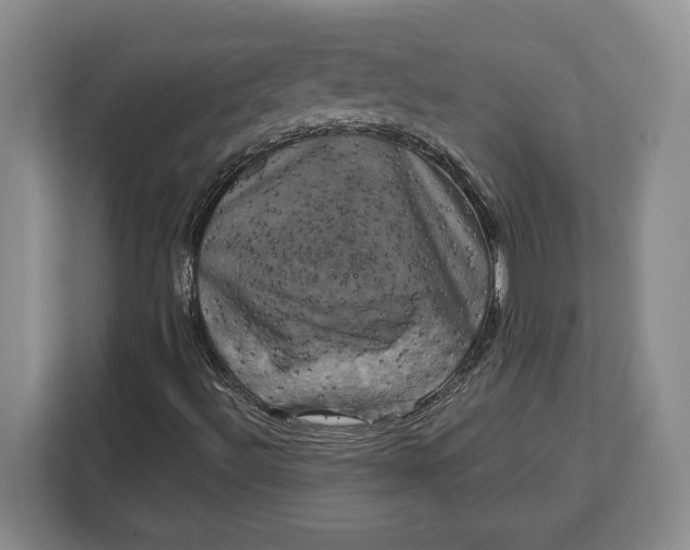 X0000113051492200909171530