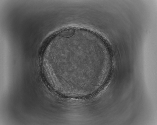 X0000113051494200909171530