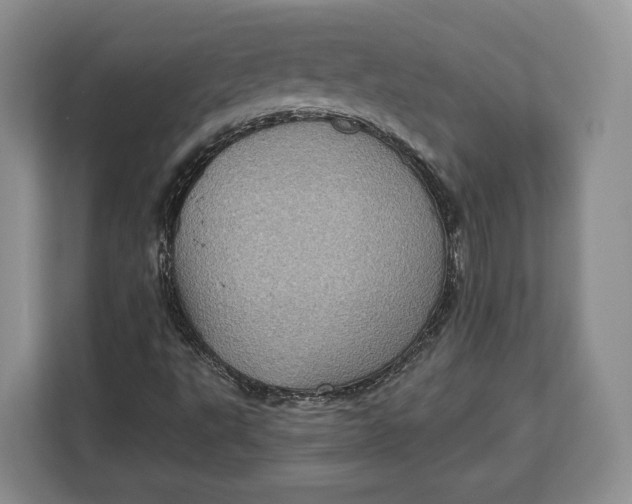 X0000113051495200909171530