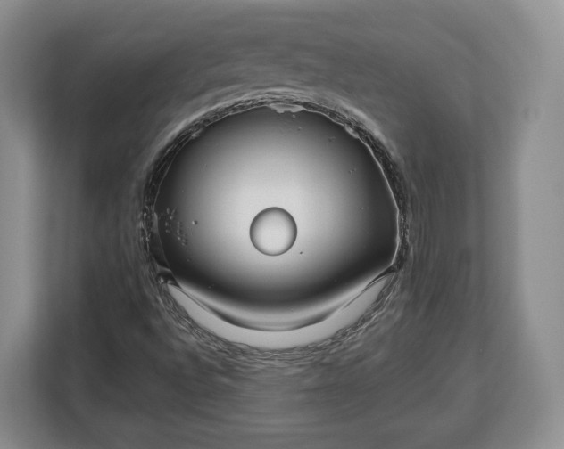 X0000113051496200909171530