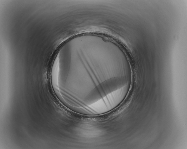 X0000113051497200909171530