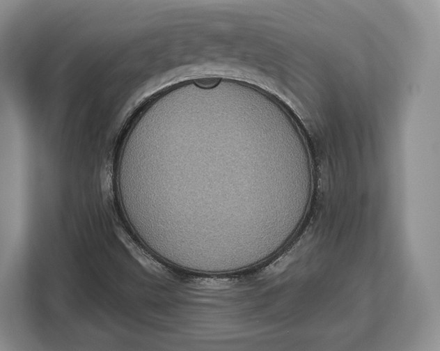 X0000113051499200909171530