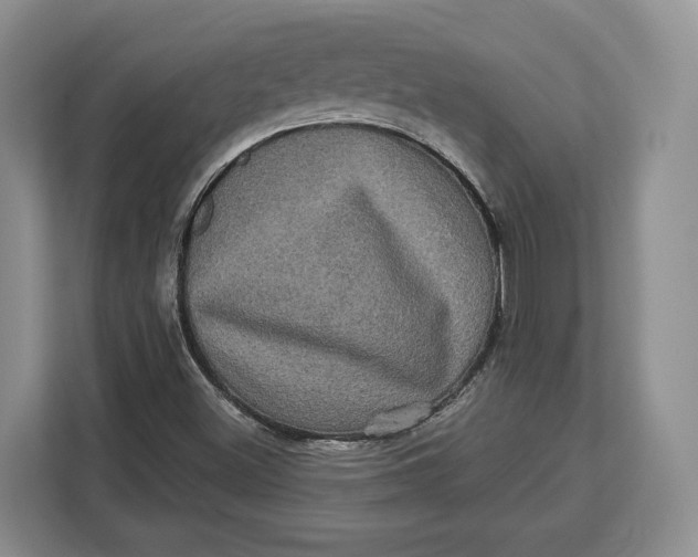 X0000113051500200909171530