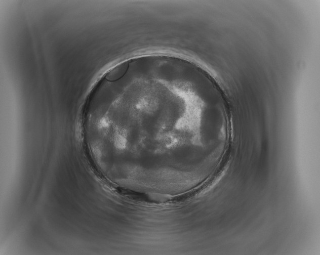 X0000113051501200909171530