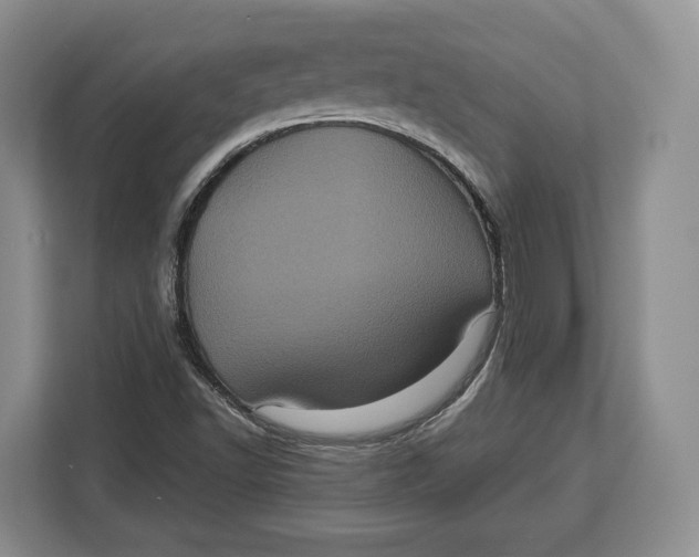 X0000113051502200909171530