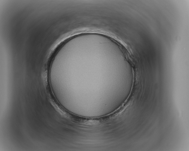 X0000113051503200909171530