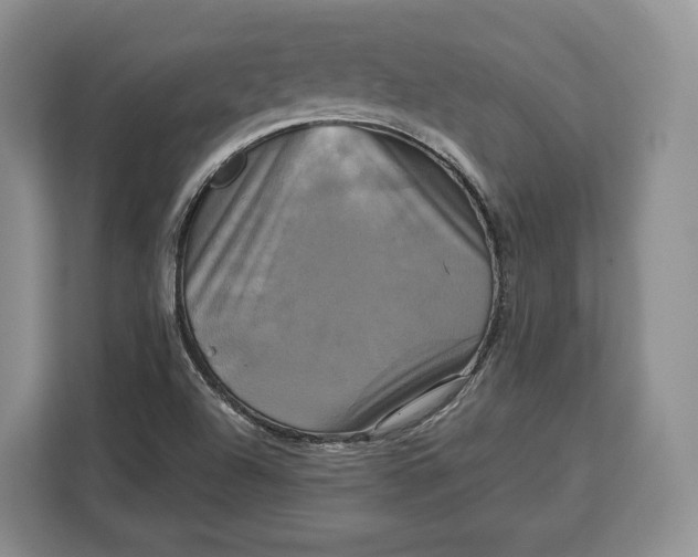 X0000113051504200909171530