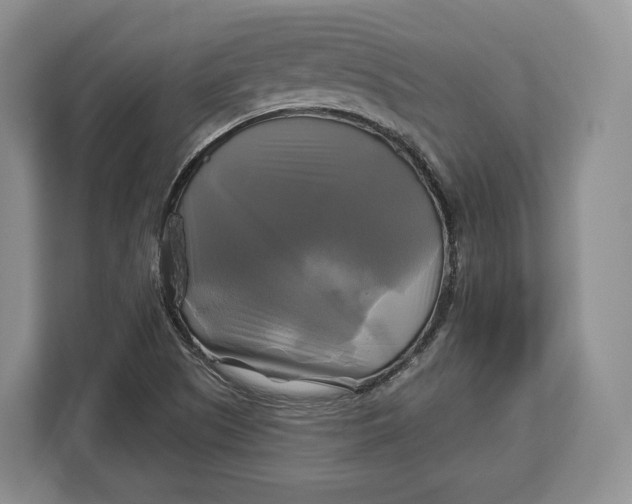 X0000113051505200909171530