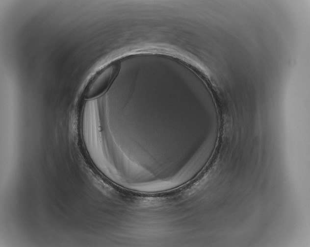 X0000113051506200909171530