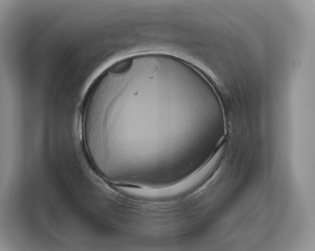 X0000113051510200909171531