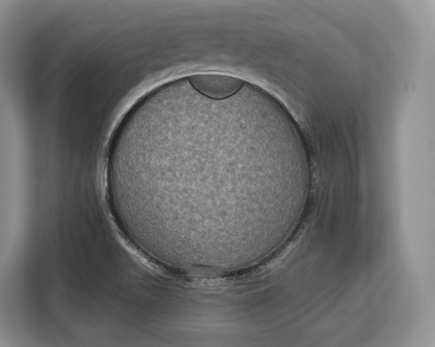 X0000113051511200909171531