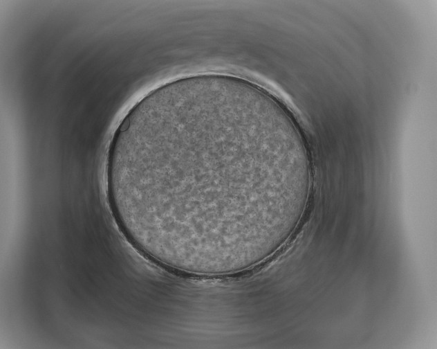 X0000113051512200909171531