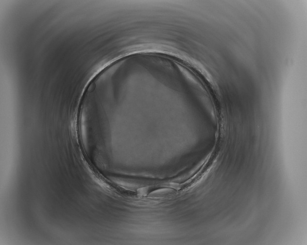 X0000113051513200909171531