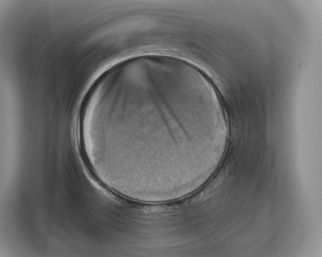 X0000113051515200909171531