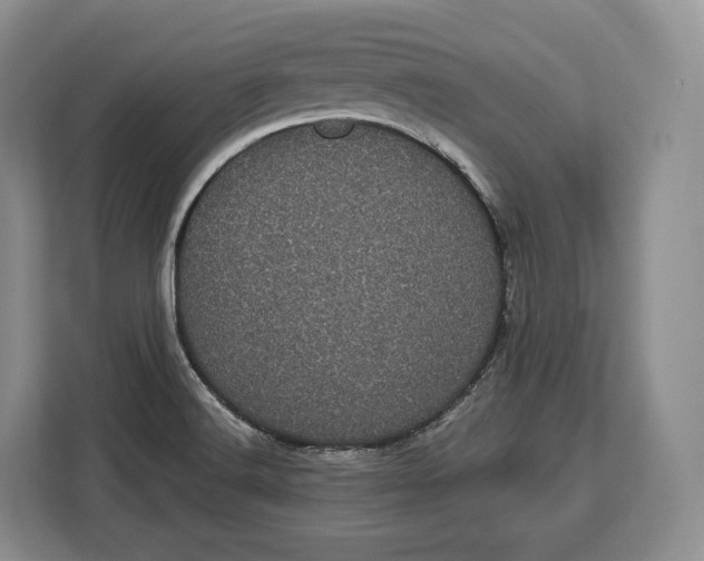 X0000113051516200909171531