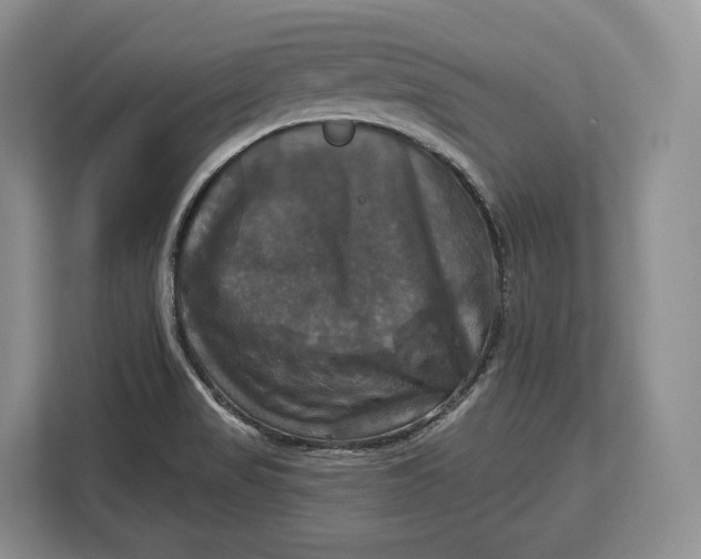 X0000113051517200909171531