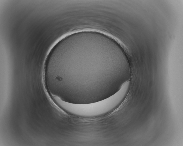 X0000113051518200909171531