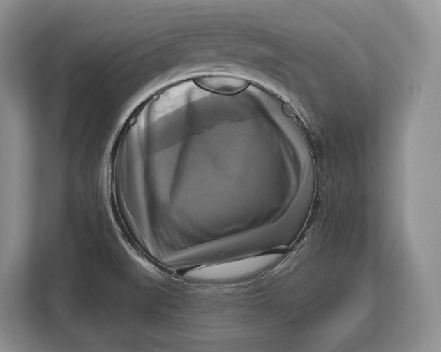 X0000113051519200909171531